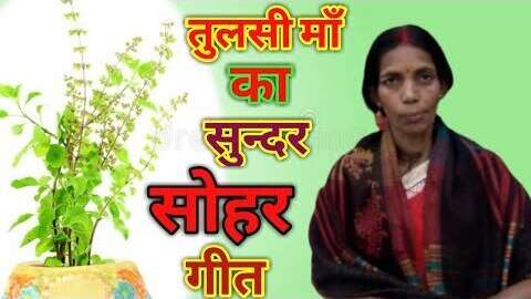 Tulsi Vivah Geet सुन्दर तुलसी विवाह गीत